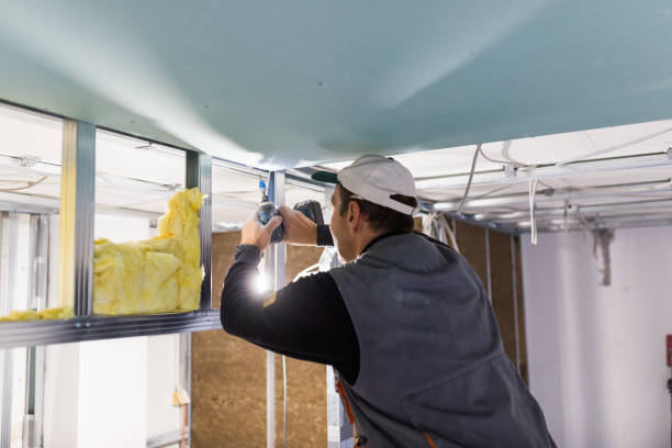 Best Insulation for Specific Applications in Searingtown, NY