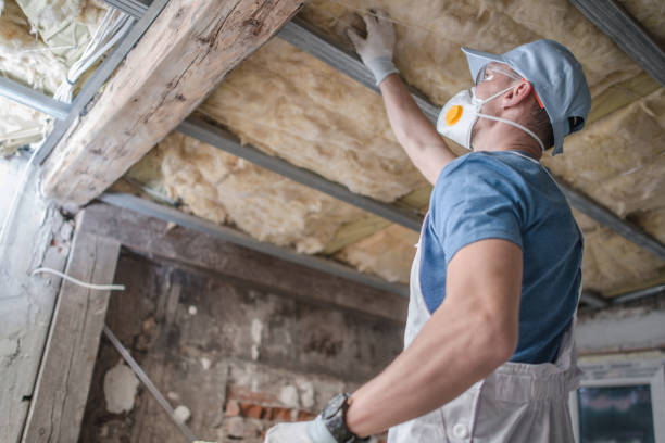 Best Insulation Installation Services in Searingtown, NY